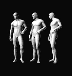 Models Of Polygonal People In Different Poses 3d