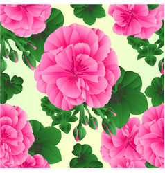 Seamless Texture Pelargonium Geranium Pink