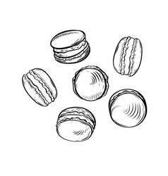 Macaroon Cookies Line Drawing Isolated On White