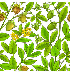 Jojoba Branches Pattern On White Background