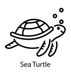 Sea Turtle