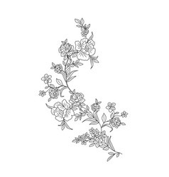 Wild Flowers And Plants Botanical Line Art