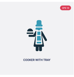 Two Color Cooker With Tray Icon From People