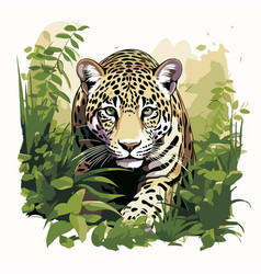 Jaguar In The Jungle Of Wild Animal