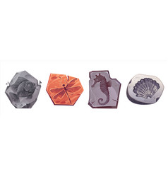 Fossil Animal Archaeology Stone Icon Set