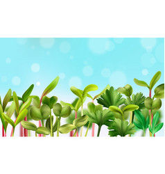 Healthy Nutrition Microgreens Background