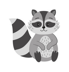 Autumn Season Animal Raccoon