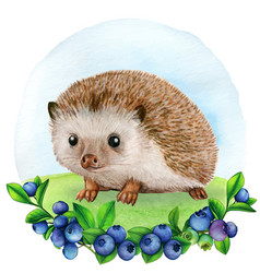 Cute Watercolor Hedgehog