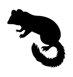 Forest Dormouse Silhouette