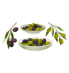 Green And Black Olives In Bowl Set