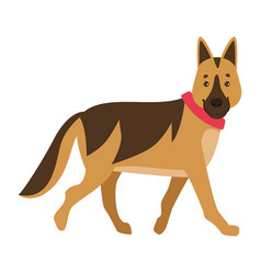 German Sheperd Pet Character