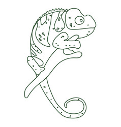 Chameleon On A Branch Continuous Line