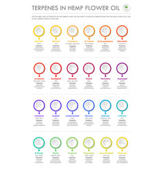 Terpenes In Hemp Flower Oil With Structural