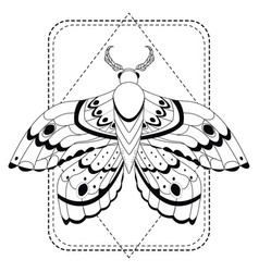 Magic Mystic Moth In Geometric Shape Frame