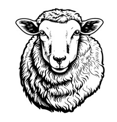 Mountain Sheep Face Hand Drawn Sketch