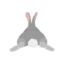 Gray Rabbit Sits Back View