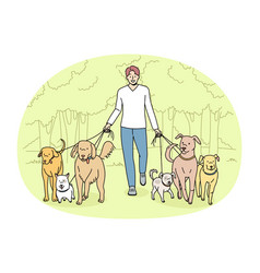 Smiling Man Walk Dogs On Leashes