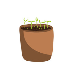 A Young Seedling In A Clay Pot Isolated On A White