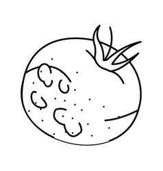 Tomato Rotten Food Line Icon