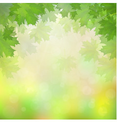 Green Maple Leaves On Blurry Background