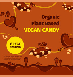 Organic Plant Based Vegan Candy And Chocolate