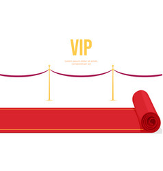 Red Carpet For Vip Person Movie Music Festivals