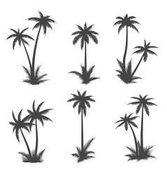 Palm Tree Silhouettes