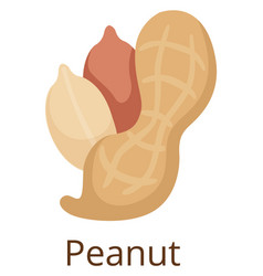 Peanut Icon Tasty Raw Seed Organic Nut