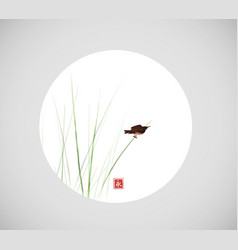 Bird Sitting On Reed Grass Stem In White Circle