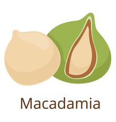 Macadamia Nut Icon Organic Fresh Raw Snack