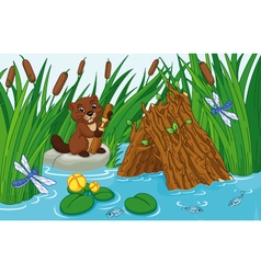 Beaver Lodge