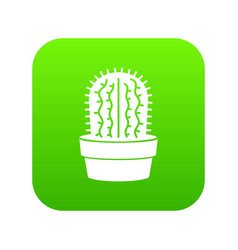 Echinocereus Icon Green