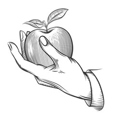 Human Hand With Apple Drawn In Engraving Style