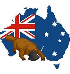 Platypus Australian Animal Cartoon