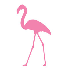 Flamingo Walking Silhouette