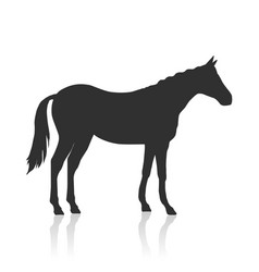 Sorrel Horse Logo