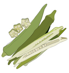 Ladyfinger Okra