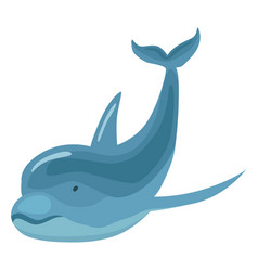 Dolphin Cartoon Character Ocean Mammal In Motion