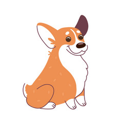 Welsh Corgi Dog Is Sitting