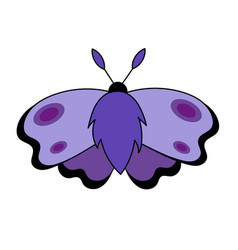 Purple Moth Flying Magic Insect