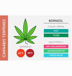 Cannabis Terpene Guide Information Chart Aroma