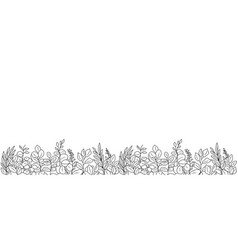 Horizontal Banner Botanical Line Art Border