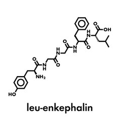 Leu-enkephalin Endogenous Opioid Peptide Molecule