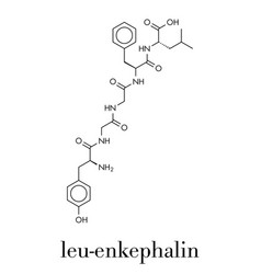 Leu-enkephalin Endogenous Opioid Peptide Molecule