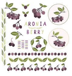 Realistic Aronia Berry Clipart