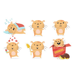 Adorable Hamster Set