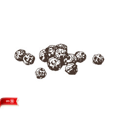 Hand Drawn Dark Peppercorns Isolated On White