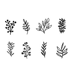 Set Of Black And White Plants