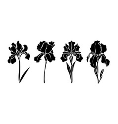 Silhouettes Of Irises February Birth Month Flowers