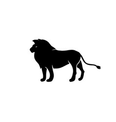 Lion Silhouette